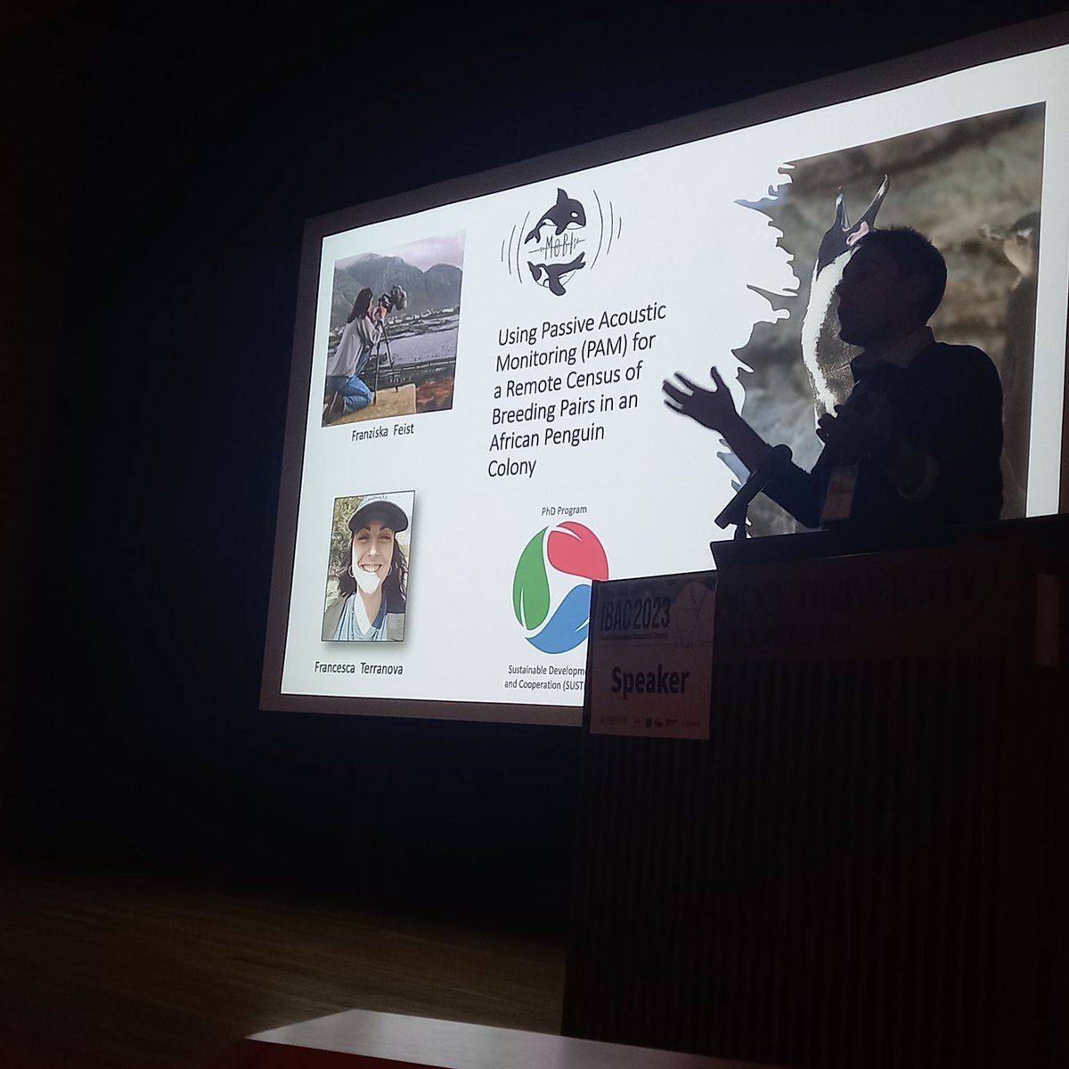 _malavika_m's tweet photo. A month late, but memories of #IBAC2023 are still fresh! Grateful to have been there and organized a symposium on individuality with @Onate_Javi92 @ZampaLia  Huge thank you to @LivioF_80 @TomaszOsiejuk @ZampaLia, Myriam Marsot, Paul Devos, Alberto de Rosa for their amazing talks! https://t.co/vJZj1nTjI3