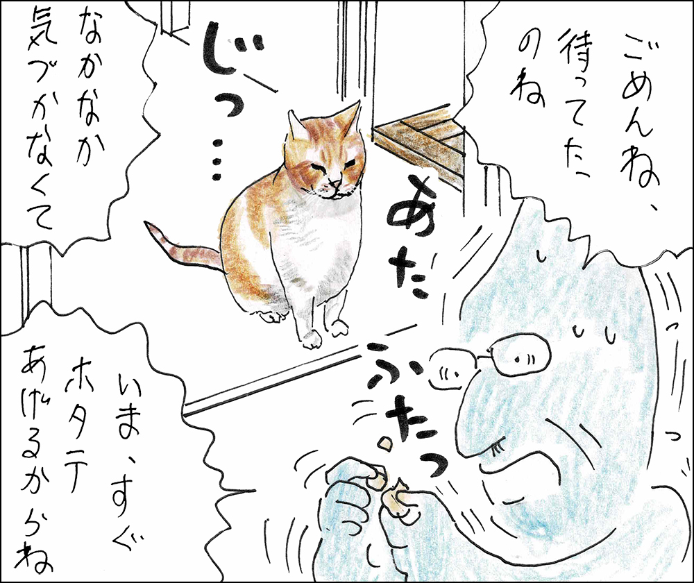 や、どうも。 キャッミャウブクスーさんでやってるおぷうのきょうだいヘアーはなかなかのにぎわいだそうですよ。 どうぞ見にいってみてね。 さて、きょうのはなしはオサムがしゅやくだよ。