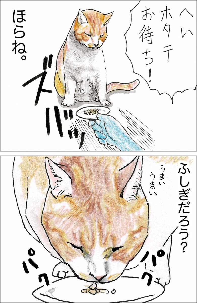 や、どうも。 キャッミャウブクスーさんでやってるおぷうのきょうだいヘアーはなかなかのにぎわいだそうですよ。 どうぞ見にいってみてね。 さて、きょうのはなしはオサムがしゅやくだよ。