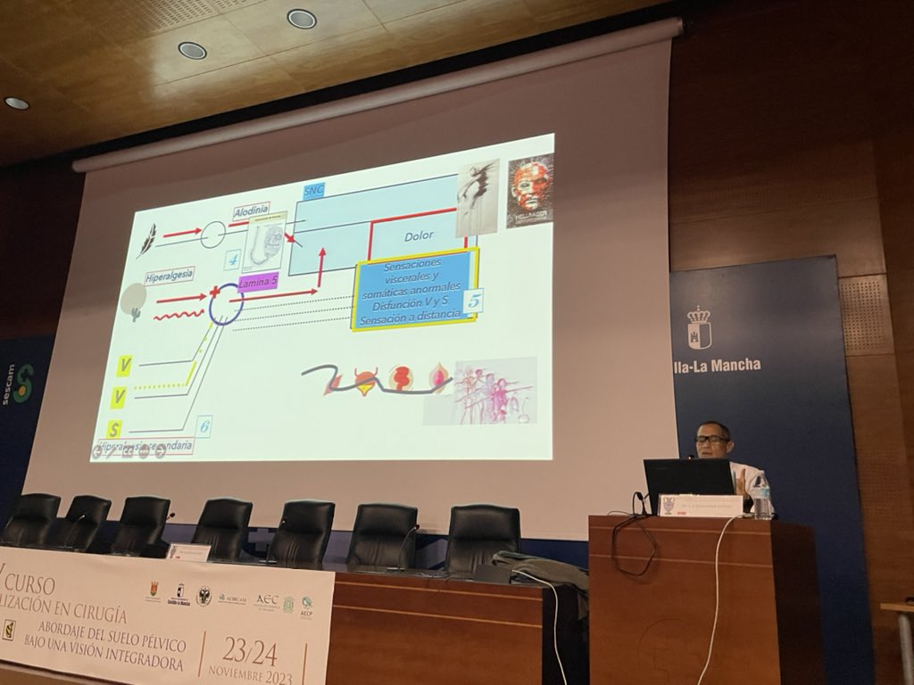 Otros aspectos en el dolor pélvico crónico y disfunciones de suelo pélvico , EL SEXUAL. El Dr. Fernando Susanibar nos ayuda a entender como afecta en esta esfera .@SanidadCLM @sinug_org @SanidadTalavera @AECP_FAECP @aecirujanos