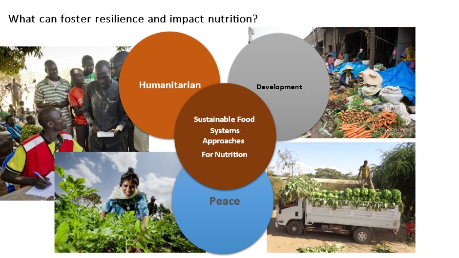 The triple nexus and Sustainable Food Systems Approaches for Nutrition share the goal of promoting sustainable development, improving livelihoods, and ensuring food security and nutrition.<a href="/NamukoloC/">Namukolo Covic</a> <a href="/ETLeadNutrition/">Ethiopia Nutrition Leaders Network - ENLN</a> annual forum.  <a href="/CGIAR/">CGIAR</a> <a href="/israel_hailu/">Israel Hailu</a>