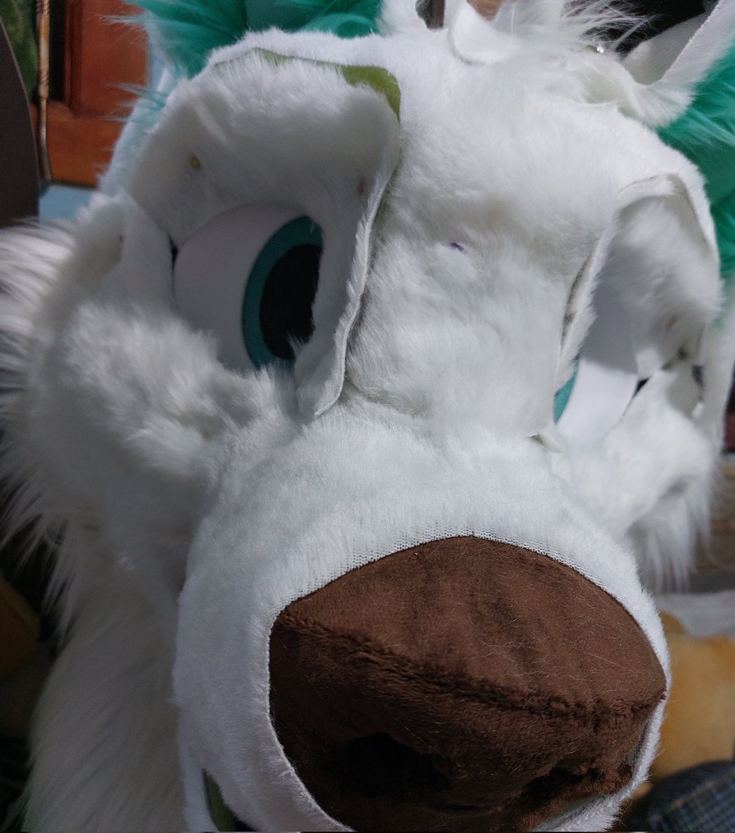 BRFursuits's tweet photo. More wooofss https://t.co/6giaL1OgeM
