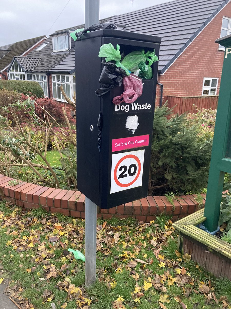 AdamWoodruff4's tweet photo. Hey @SalfordCouncil any chance you can come and empty this dog turd festering bin on Hilton Lane ASAP please?? I think the £250/month council tax I pay should allow for a weekly collection! https://t.co/LEgYF9DpzO