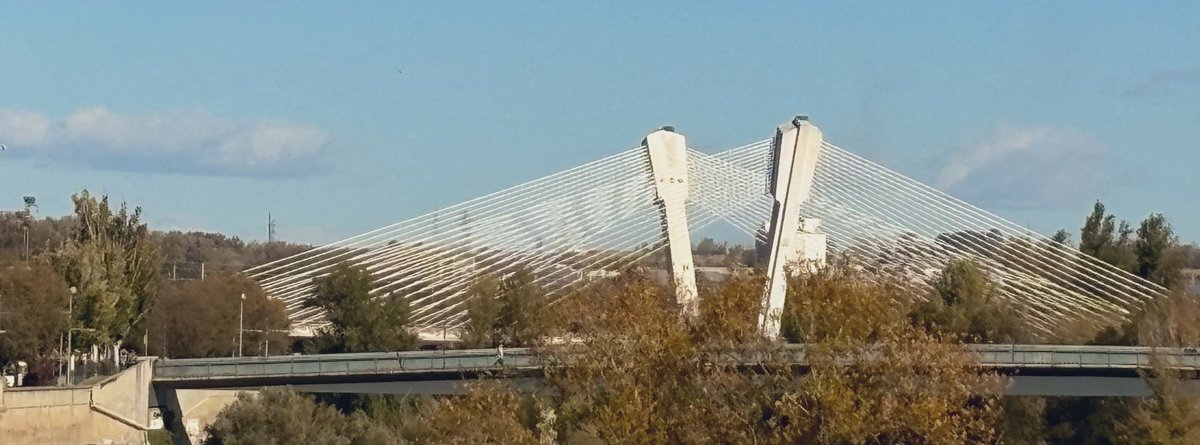 PardoMestre's tweet photo. #BonDia #Lleida No hi te pas una ficsacio però te de reconèixer q aquest pont li encanta 😌(relats ffg) #ponts #loriu #paissatges #urbania 🔵🔷🔹🔷🔵 https://t.co/MVdlLsWE65