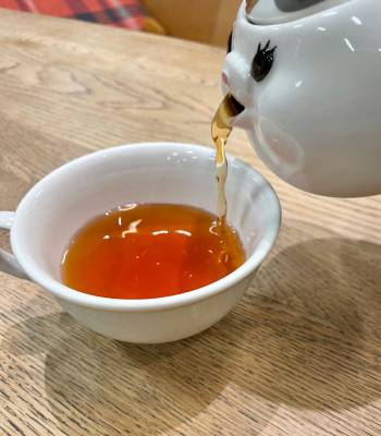 still can't unsee, ffxiv fat cat teapot🤨