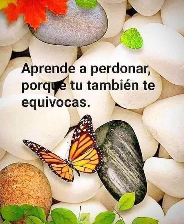 VidaEquilibrada (@vidaequilibrad4) on Twitter photo 