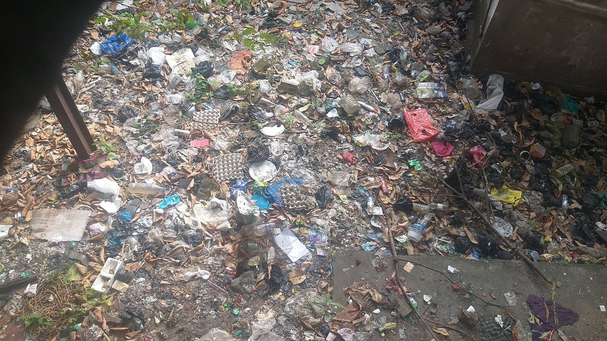 riamusK39's tweet image. #vectorControlbyKMC here please
1. P162572023 complaint on 15/11/2023
2. P158092023 complaint on 02/11/2023