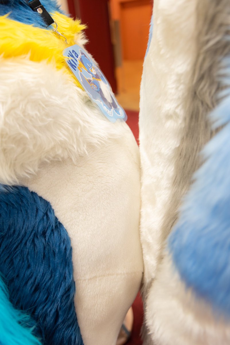 🝦ω🝦<ラクト先πとつーしょっ‼︎…って2枚目アレ？

#みちのく7
#FursuitFriday 
📸Nanonさん