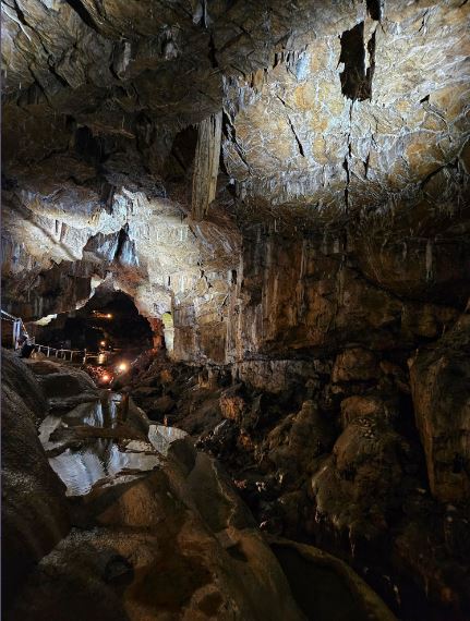 Y3 had an amazing time on their trip to Poole’s Cavern! They learnt all about rock formations and the history of the caves. They also walked up to Solomon’s Temple and spotted some fossil sculptures along the way.