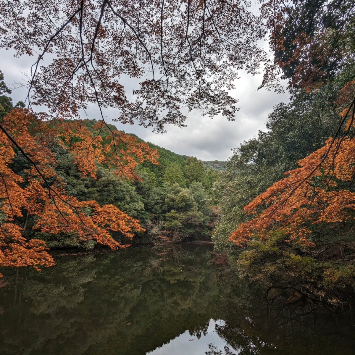 紅葉の季節
山の上の絶景まで駆け上がれたのも、体重が減ったからこそ!

#紅葉2023 
#ダイエット
#ダイエット垢さんと繋がりたい