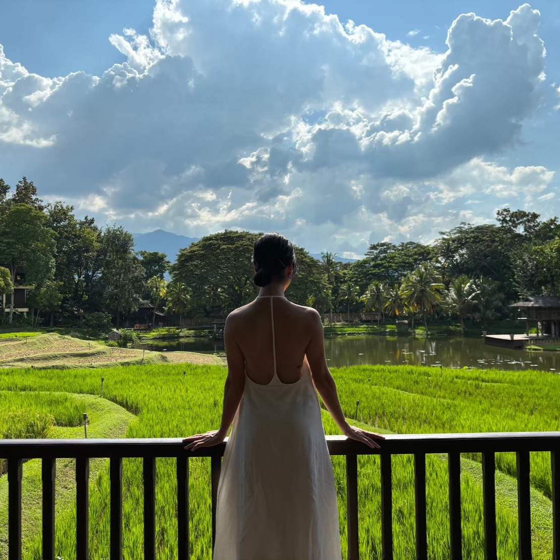 FSThailand's tweet image. Golden rice fields and feathered friends - a delightful duo for a leisurely meander through nature's beauty. A #dreamwithfs moment you can’t shake off! @tasha_aueng #fschiangmai #fstakeyourtime