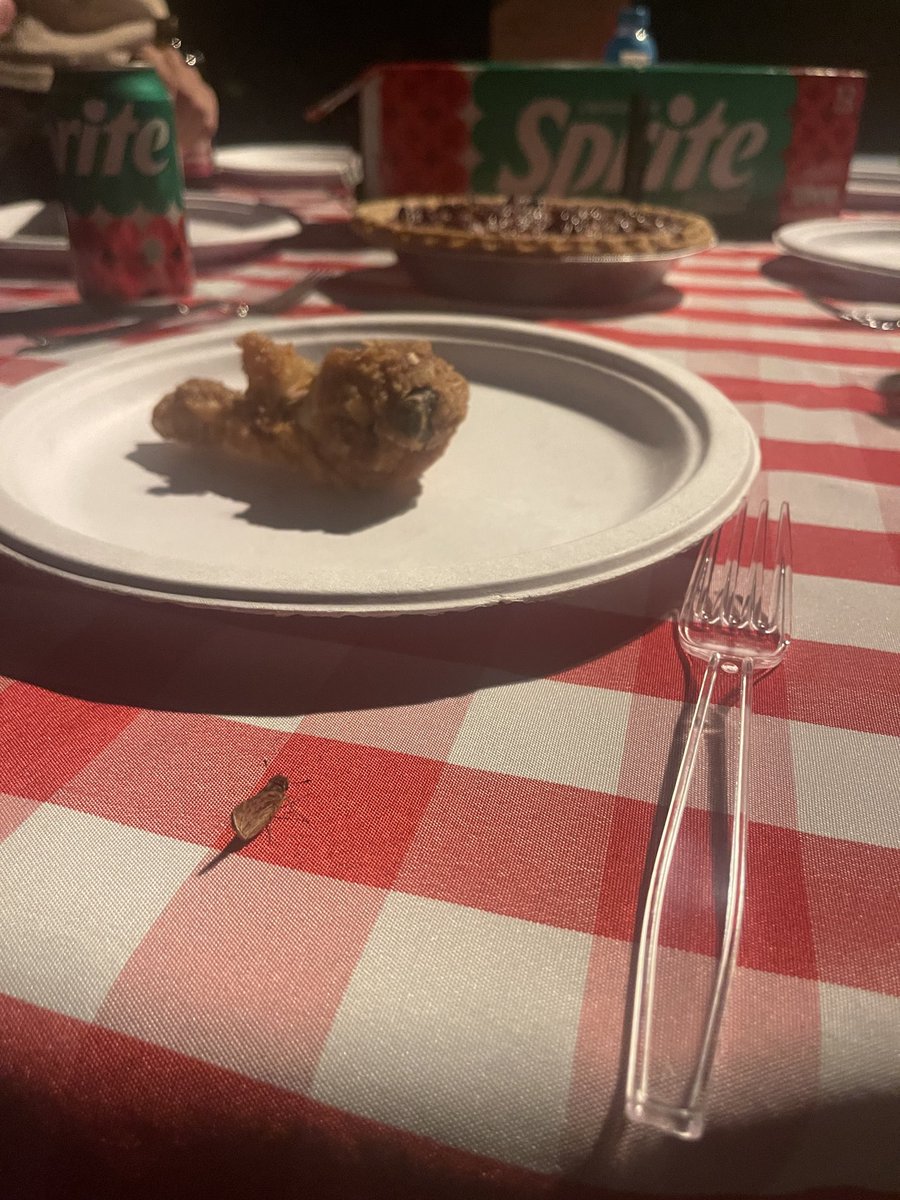 Gaming09964804's tweet photo. if you don’t let crickets eat at your table your losing 2023…. https://t.co/VkEMVGlifb