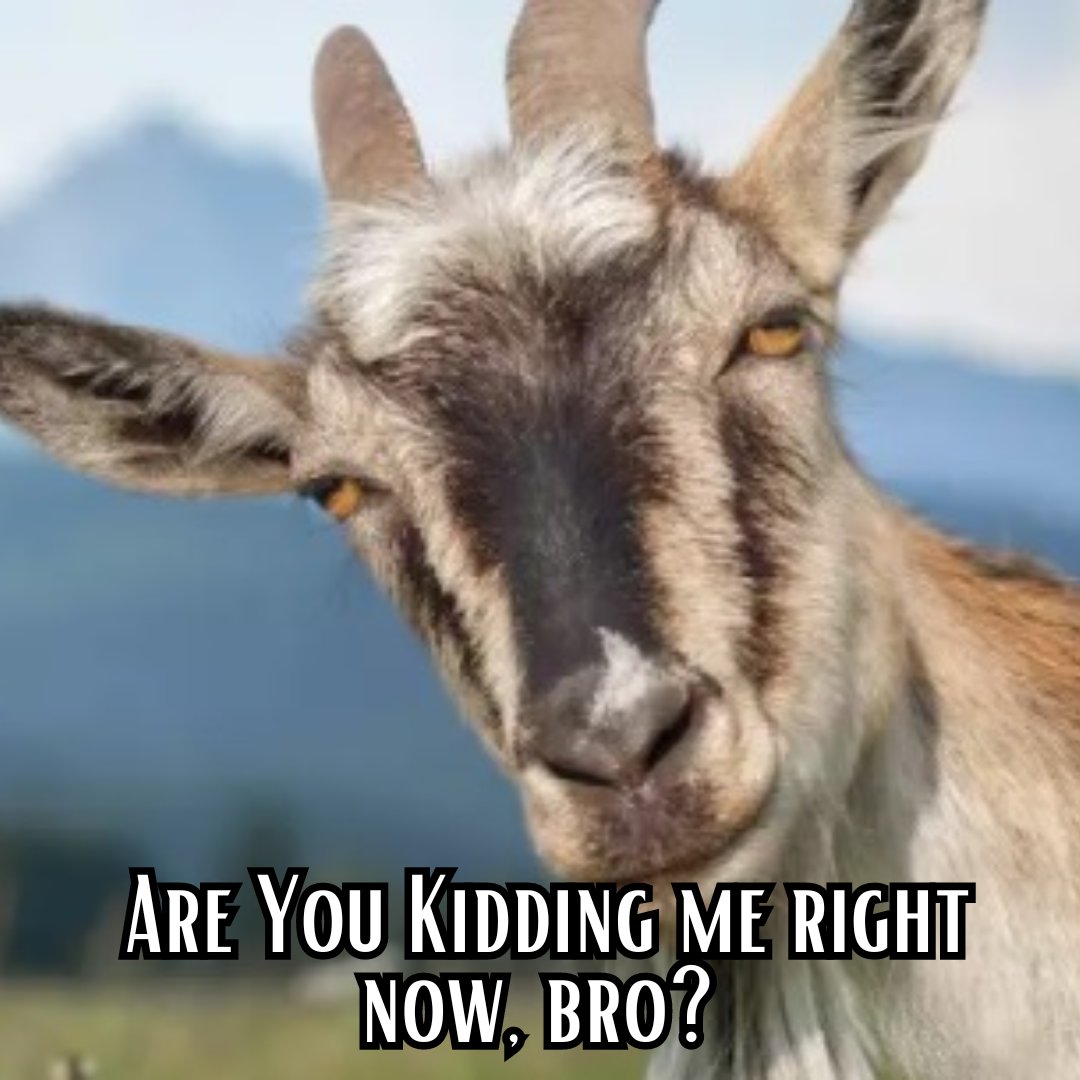 The Rev. Gini Gerbasi tweet media