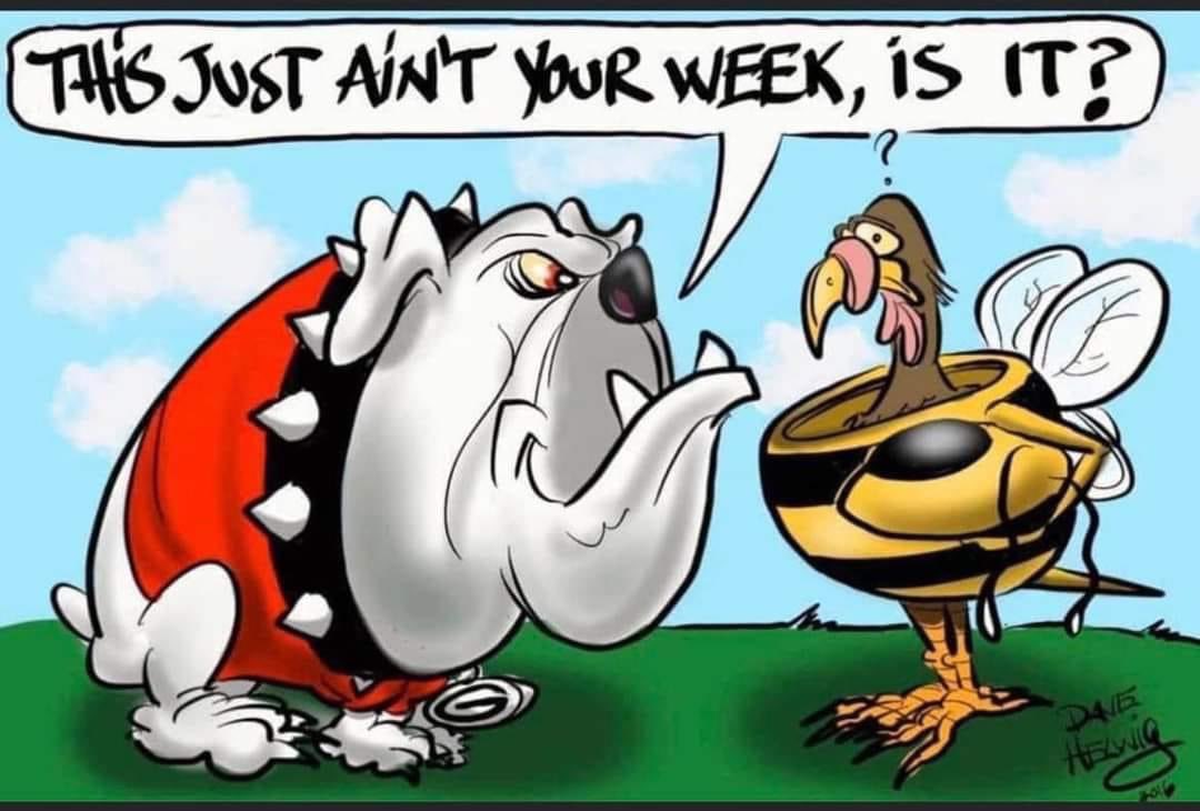 SCDawgette's tweet image. #GoDawgs #WreckTech !!