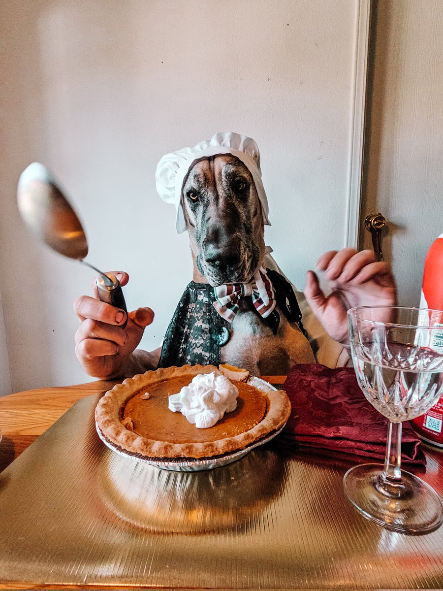 FergusGreatDane's tweet photo. Whatever floats your gravy boat. ๐๐๐ฅง๐ฆ๐ท
Happy #Thanksgivingโฏโฏ!
~Ripley the Fawn Great Dane ๐ฉท๐พ
#gratefulheart #gobblegobble #pumpkinpie #pilgrim #feastmode #lickerproblem
๐ธ๏ธ
#RipleyTheFawnDane #greatdane #dogsofx #dogs https://t.co/Y0GeQQEEDe
