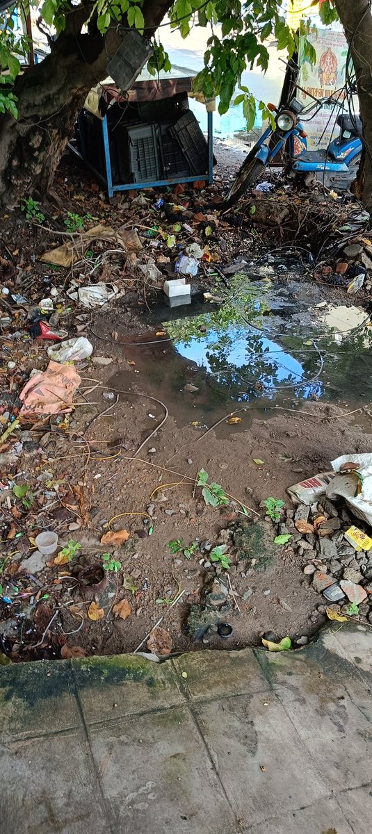 @chennaicorp @RAKRI1 sir, zone 06, ward71, vadivelu main st, swage water overflowing from rain water drain. No action taken even after complaining to ward AE. Request to take immediate action.