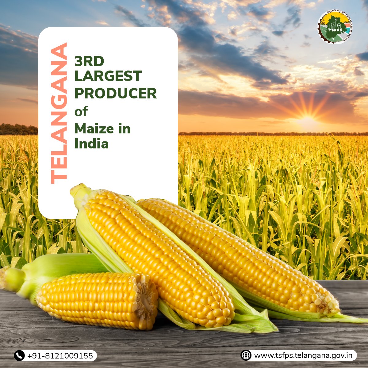 #Telangana’s cornucopia of #maizeprocessing possibilities. From the sweetness of #cornsyrup & #cornpudding to the crunch of #cornchips and #tortillas, the state transforms #maize into a rich array of products.
@MOFPI_GOI @jayesh_ranjan @AkhilGawar @investindia @TheFoodConclave