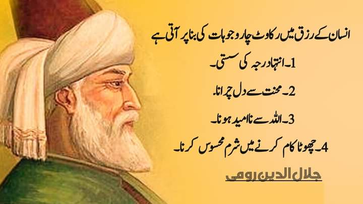 Gul (@fazalkarim15232) on Twitter photo 