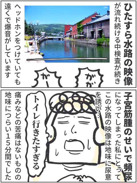 子宮全摘記録②
筋腫の影響で頻尿になった私にとって、水路を見ながらの検査は長く感じました… 
