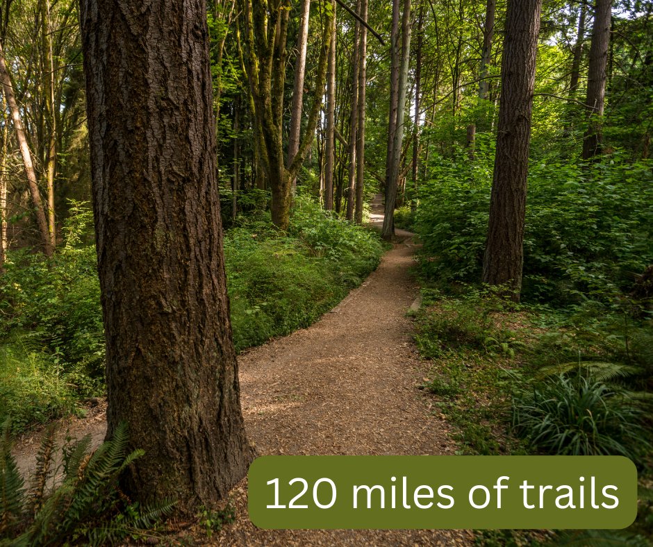 There’s no better way to #OptOutside this Friday, Nov. 24 than to plan your next urban hike with us! Seattle Parks and Recreation has miles of developed and semi-developed trails for year-round hiking.