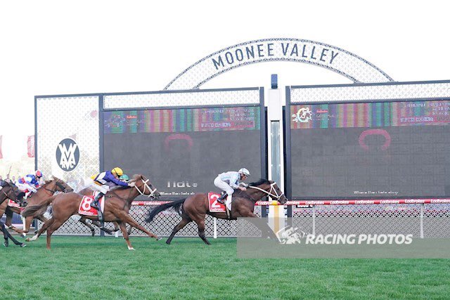 🏇🚨RACING TONIGHT!🚨🏇

<a href="/TheValley/">Moonee Valley Racing Club</a> 

🔹R3- #CELUI

Good luck to connections!

#raceday #Racing #horses #racewithus #horseracing #thoroughbredhorse #GoodLuck #thoroughbred #horse #cloud9 #thoroughbredsofinstagram #horsepower #thevalley