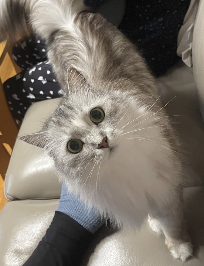 천사