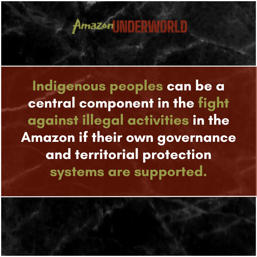 The Amazon is now home to a complex underground illegal economy that fuels violence & deforestation, speeding up its destruction. It's crucial that Indigenous peoples be recognized as political agents in an attempt to curb organized crime.
#AmazonUnderworld #IndigenousLandRights