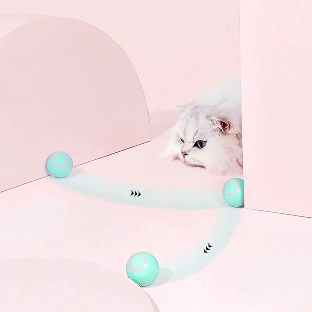 Pawsomeoasis's tweet photo. 🐱 Keep your kitty entertained with our Cat Toy Ball! 🎉

✨ Soft, durable, and eye-catching colors. 
🚀 Smart obstacle avoidance. 
🏡 No hassle, endless play!
Get yours today and keep your cat happy! 🐾 #CatToyBall #HappyKitty

https://t.co/V8JSFCDdRc https://t.co/H0RLv2bGUm
