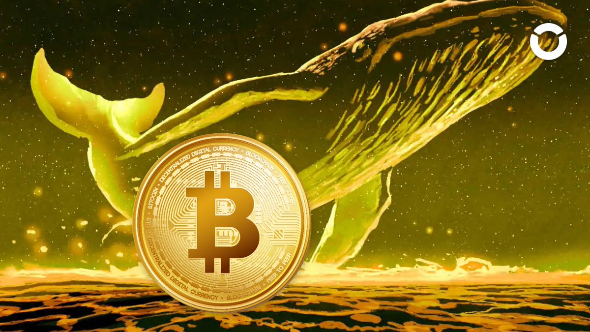 CAPlTALS's tweet photo. Cá voi tích lũy 655 BTC

Dữ liệu từ Whale Alert cho thấy, vào ngày 23/11, một nhà đầu tư ẩn danh đã thực hiện giao dịch mua tổng cộng 655 BTC từ sàn giao dịch Coinbase, trị giá tương đương 24,553,499 USD. https://t.co/3giJZhdnuR