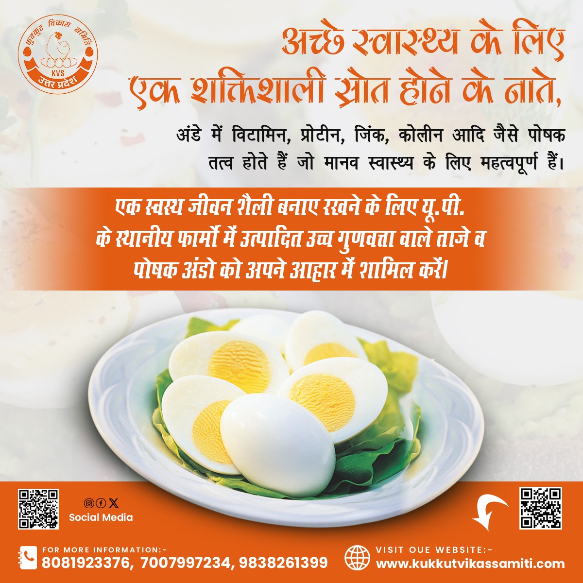 SKukkut's tweet photo. अंडे, अच्छे स्वास्थ्य का एक शक्तिशाली स्रोत! 🍳✨ विटामिन, प्रोटीन, जिंक और कोलीन जैसे महत्वपूर्ण पोषक तत्वों से भरपूर, वे मानव के समग्र अच्छे स्वास्थ्य के लिए आवश्यक हैं।
To know more:-
https://t.co/PPCr2fs9T9
#KukutVikasSamiti #EggBenefits #NutrientPowerhouse #HealthyLiving https://t.co/33xm1Hh6Xj