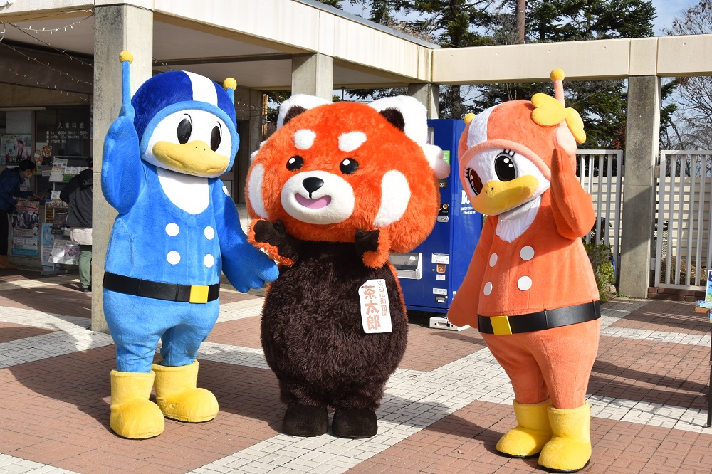 🌟11月23日（木・祝）#長野市茶臼山動物園 で、来園者に『アニマル
