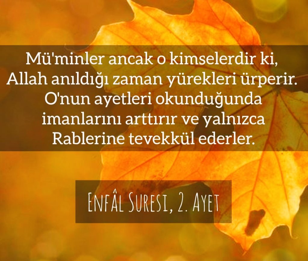 Hayırlı Cumalar