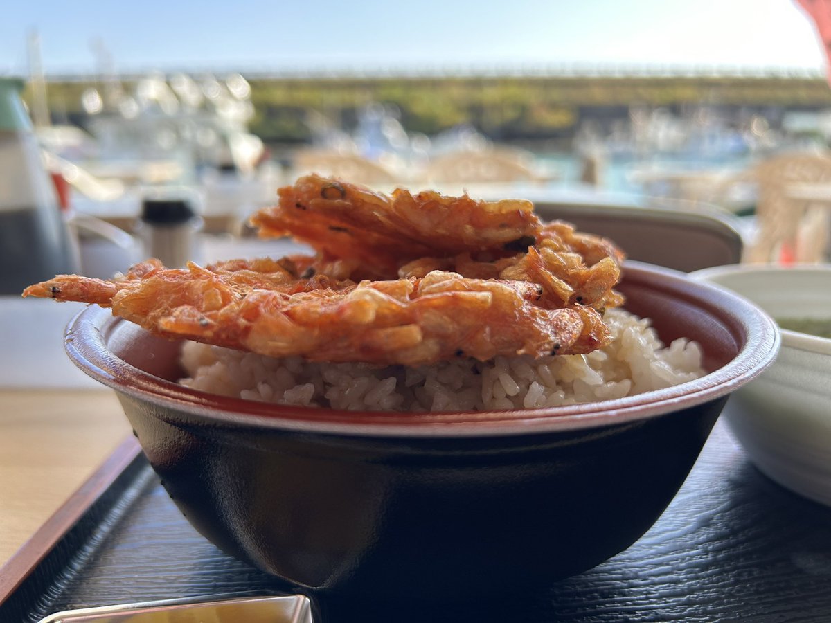 sugitti62's tweet photo. 桜エビのかき揚げ丼
サクサクぷりぷりでお��しい https://t.co/iUYhERHFIv