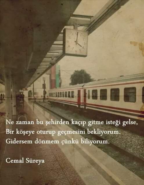 DrHalukoguz's tweet photo. https://t.co/fo1732op2k