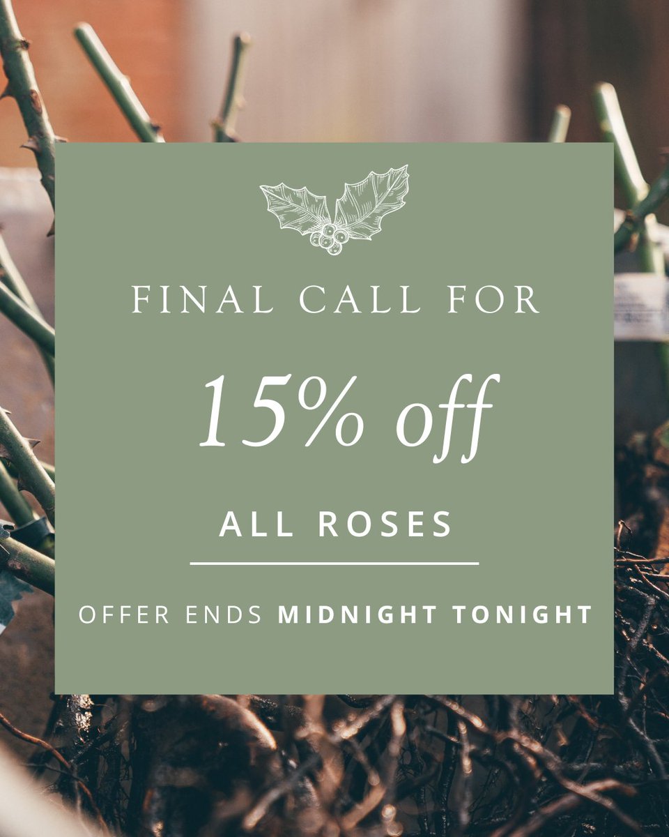 Final call to get 15% off ALL ROSES! 📣 Offer ends at midnight tonight. Simply enter the code BARE23 at the checkout. ⌛ Please note that this offer is only valid for customers in the UK and EU. Shop all roses here - bit.ly/49HKVLs