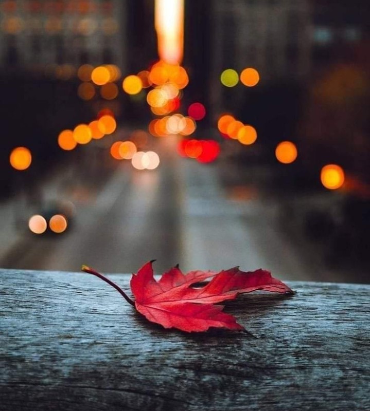 نَعيبُ زَمانَنا وَالعَيبُ فينا
وَما لِزَمانِنا عَيبٌ سِوانا
وَنَهجو ذا الزَمانِ بِغَيرِ ذَنبٍ
وَلَو نَطَقَ الزَمانُ لَنا هَجانا
وَلَيسَ الذِئبُ يَأكُلُ لَحمَ ذِئبٍ
وَيَأكُلُ بَعضُنا بَعضاً عَيانا
🍂

📖 الإمام الشافعي 

Ⓜ

#صوفيات
#سكون_روح🌾
#صباح_الخير ☕🌬️🌥️
جمعة مباركة