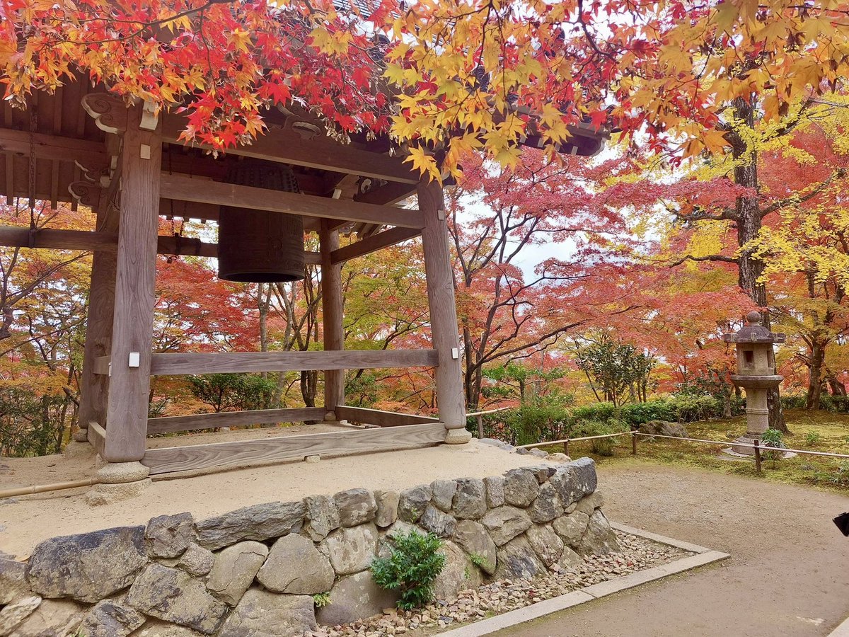 okeihan_net's tweet photo. 京都・奧嵯峨の常寂光寺です。
紅葉は今が見頃🍁🍁🍁
境内が秋の色に包まれています。
11/27(月)までは本堂の特別拝観も行われています。(予約不要)

常寂光寺へは嵐電(京福電車)嵐山駅下車徒歩約15分。
ぜひおでかけください。

#常寂光寺 #紅葉 #京阪 https://t.co/EcO1Ym7Be2