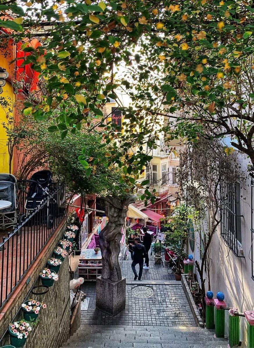 DrHalukoguz's tweet photo. Beyoğlu Streets, İstanbul. https://t.co/TWvVUFf0E3