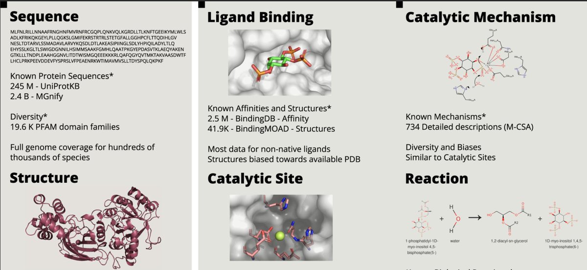Out now: Our new review on the multiple facets of the evolution of enzymes is now available in <a href="/Biochem_Journal/">Biochemical Journal</a>!  
Check it out in open access!👇👇
doi.org/10.1042/BCJ202…

<a href="/emblebi/">EMBL-EBI</a> 
#Bioinformatics