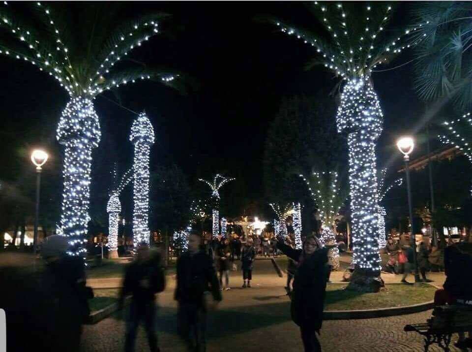 With Christmas just a month away, time for your annual reminder to be careful how you decorate palm trees.