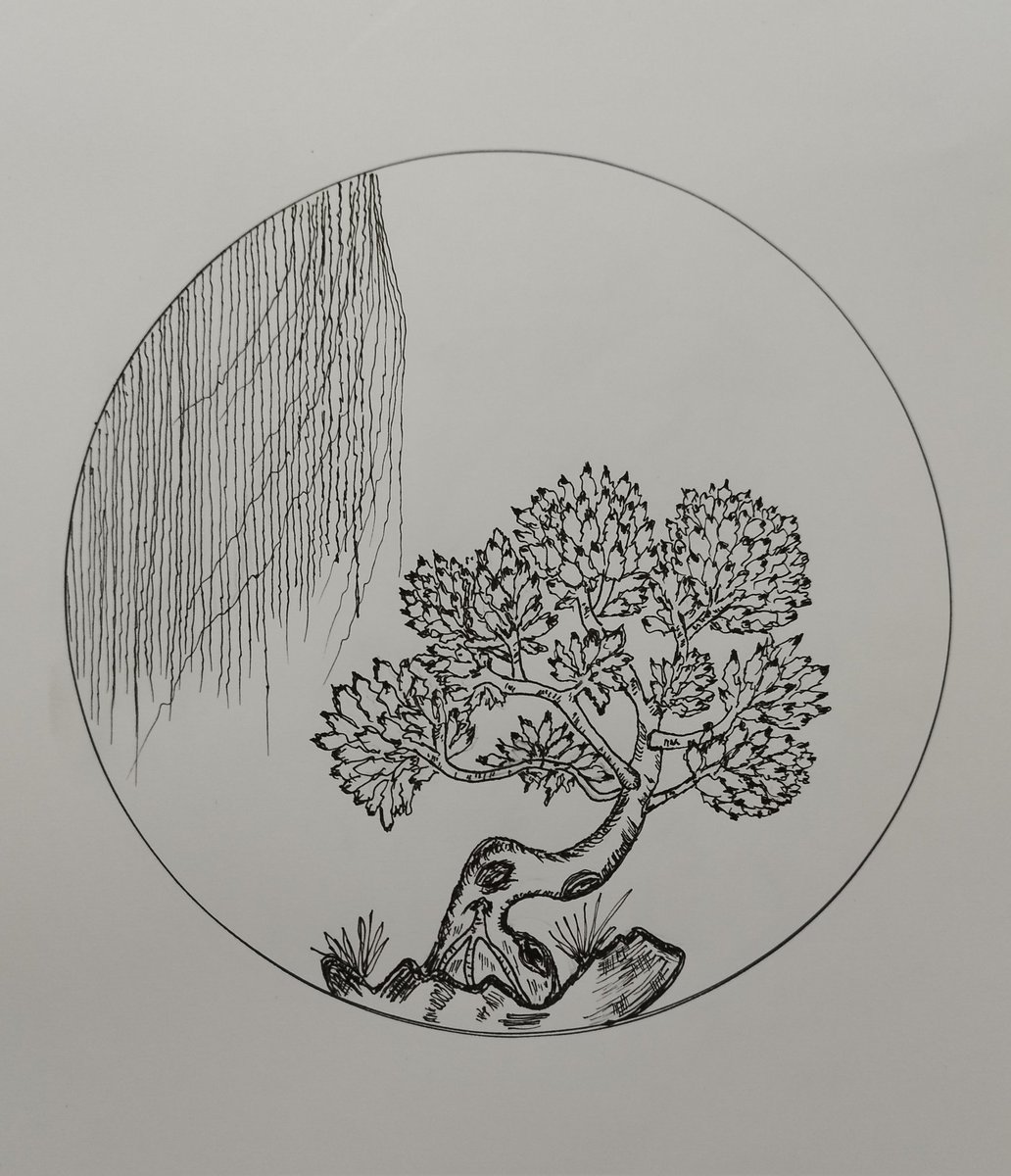 Sorennft13140's tweet photo. β³SOLD π
π₯³π₯³π₯³
Special thanks to dear family @legend_stk
@Fatemeee62225
for collecting 2 edition of
"ILEX BONSAI TREE"
On #objcktcom
Thank you my frens ππ«
3 edition LEFT βοΈ
π° 3 $XTZ
Get your own edition ππ»ππ»ππ»
https://t.co/YUw0MQ7b3J https://t.co/D3LH2JcPOa