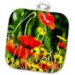 TaicheTees's tweet photo. Please choose the auction Artistic Red and Yellow Spring Flowers in A Field #taiche #3drose #wildflower #nature #flowers #wildflowers #flower #plant #spring #naturelovers #calm #summer #plants #love #wildlife #wildflowersofx #secondsofsummer #flora https://t.co/1I3fmLrsUa https://t.co/VeELliwsmU