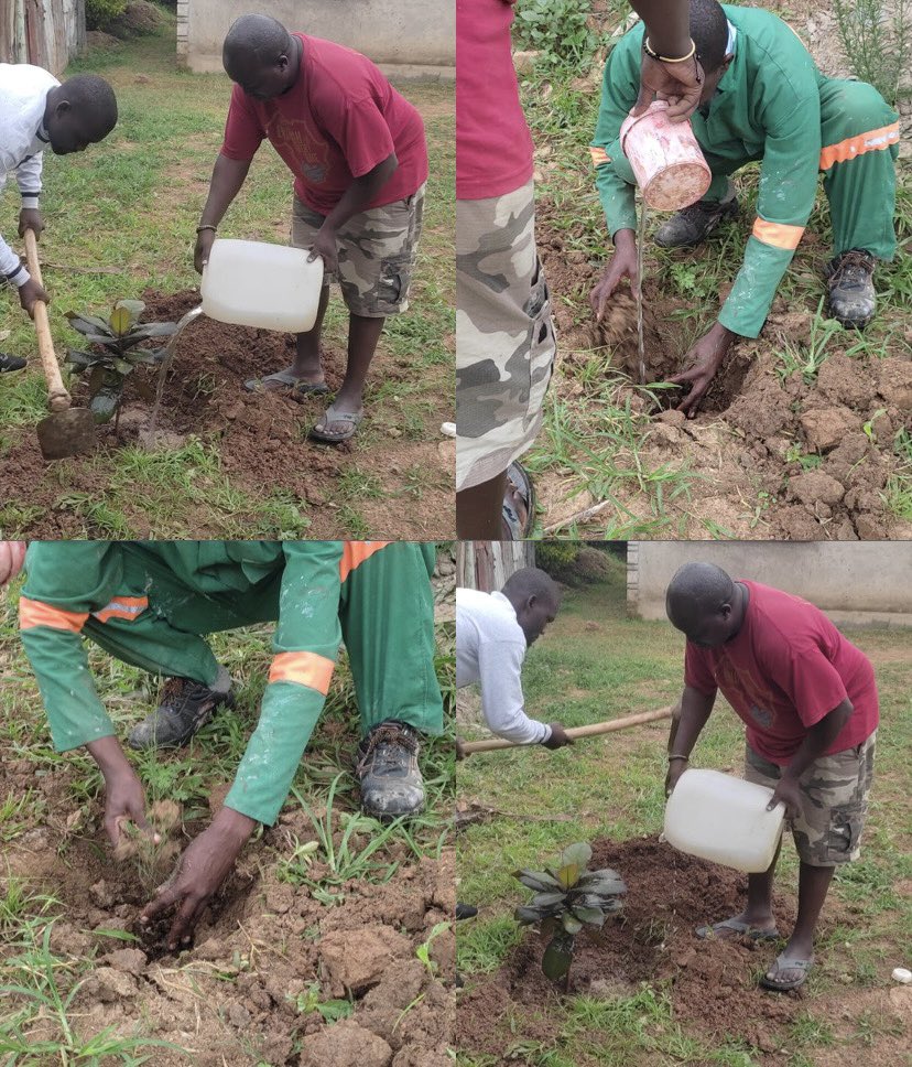 ISOC_Kenya's tweet image. The Engineering team lead by our chapter President @Eng_alphonce have planted 8 trees as a significant move towards creating a sustainable environment. 

This is a demonstration of our commitment to the goal of planting 10M trees🌳 by 2030 in Kenya. 🇰🇪 

#SDG13 #CommunityNetworks