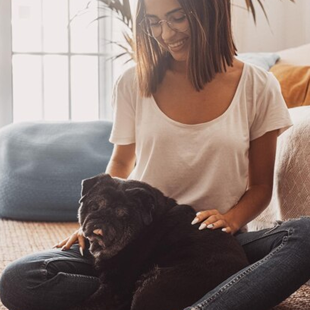 usa_pug's tweet photo. Happiness is a warm puppy. https://t.co/4kjWnhMXZ8