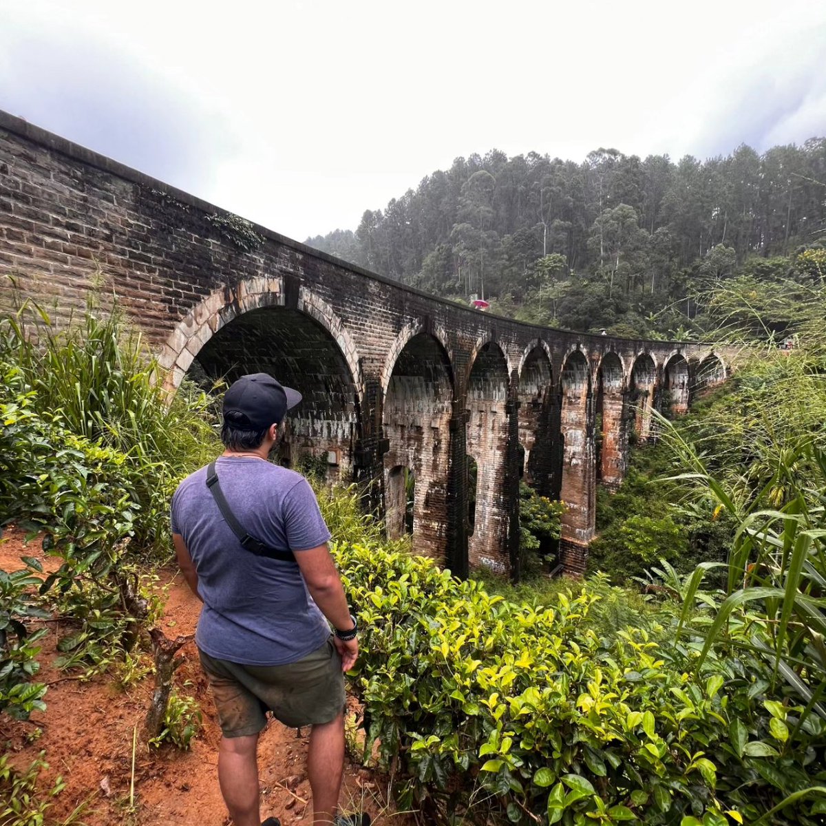 MasroorLK's tweet photo. Exploring the Nine Arches Bridge in Sri Lanka is a captivating journey through lush landscapes and architectural marvels. Nestled amidst the scenic tea plantations near Ella, this iconic bridge is a testament to both engineering ingenuity and natural beauty. https://t.co/S29EKBzmxG