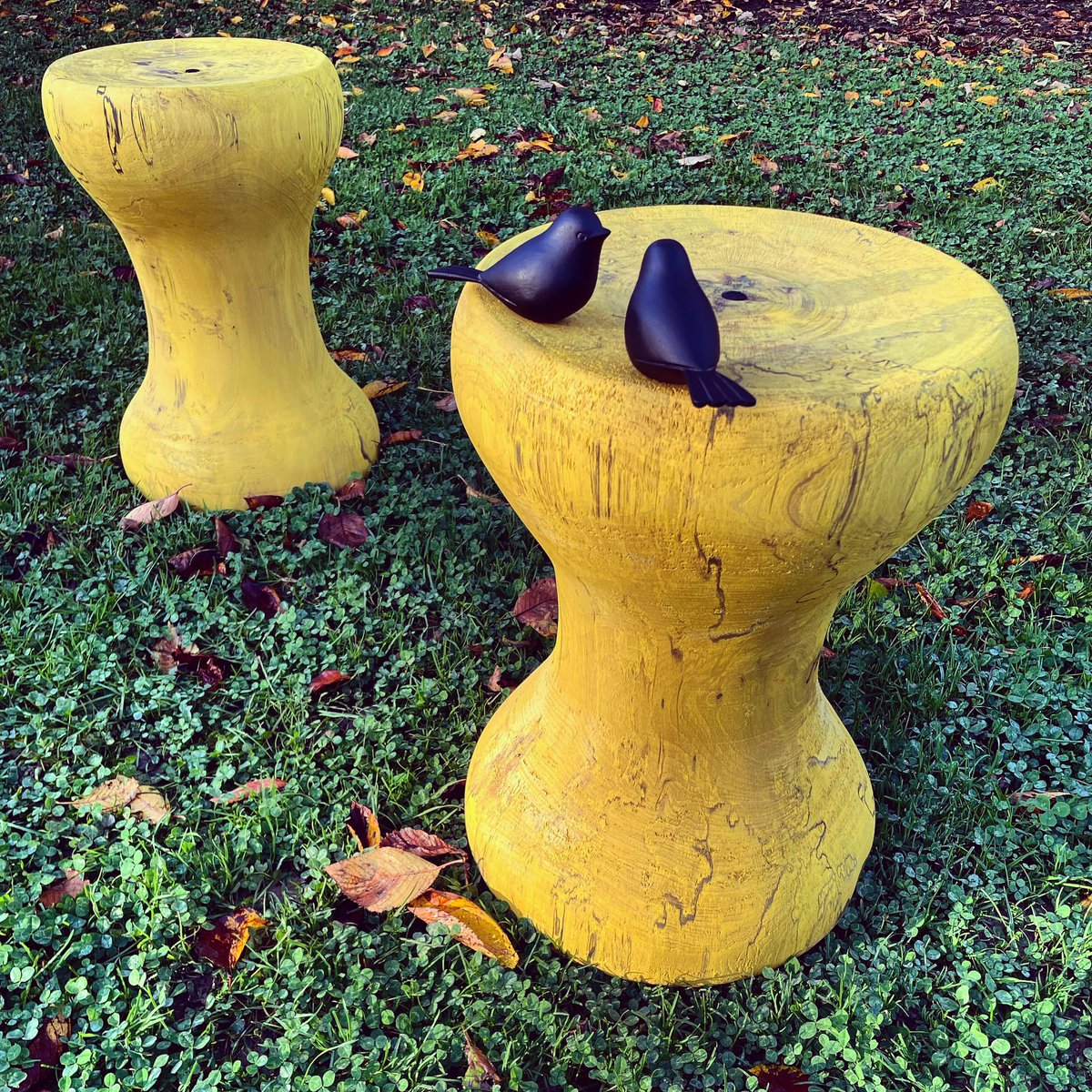 Maushaus_Arq's tweet photo. Bloom!!! Eskerrik asko Moduz 💛💚 #CristinaEneaParkea #offmugak @MUGAKbienal #kondotza #mobiliario #design #homenajeoteiza #unidadyripleliviana #pagoa #tornero #oficio #josumuruaga #aserraderogarmendia #visitaguiada #espaciopublico #espacioverde #instalacion #expo https://t.co/2xP4vSSDMl