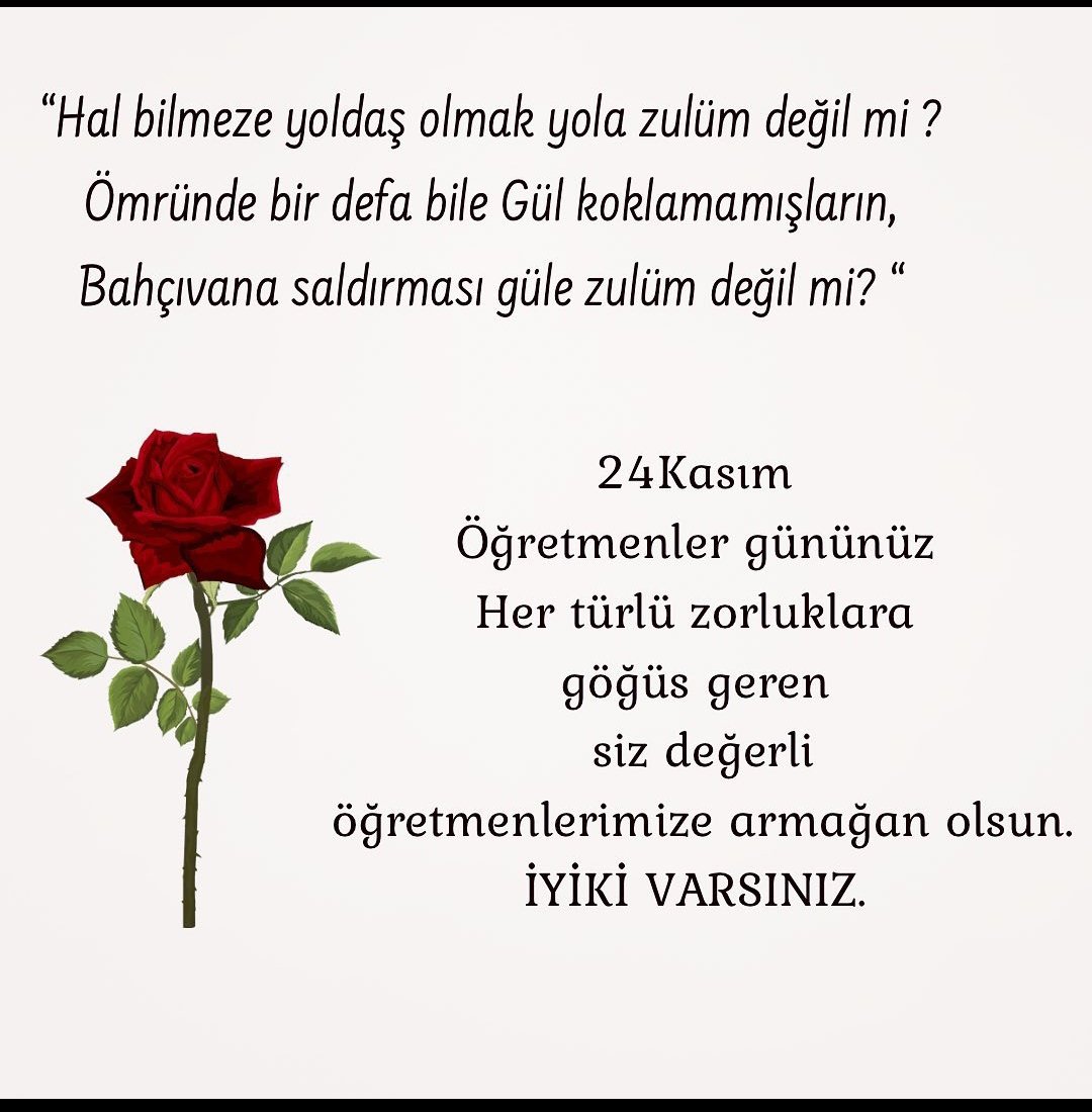 Mehriban Aslan (@mihriba75298641) on Twitter photo 