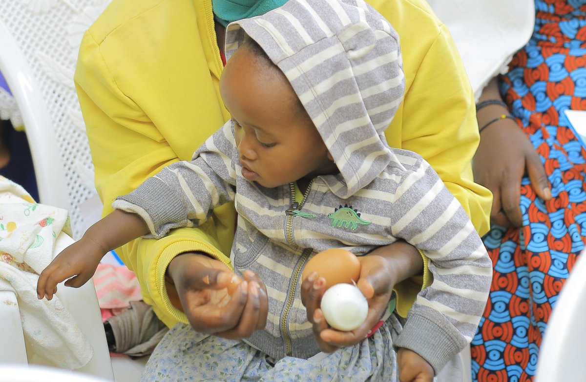 Exciting times!  Working on nutrition &amp; behavior change in children's diets. Introducing #OneEggPerDay initiative! 🥚 Providing eggs &amp; chickens to sustain the project. Witness the joy as beneficiaries nourish their children with wholesome goodness.