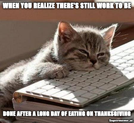 Supmemez's tweet photo. Hope everyone had an awesome Thanksgiving today! https://t.co/t8Vu5enGDX