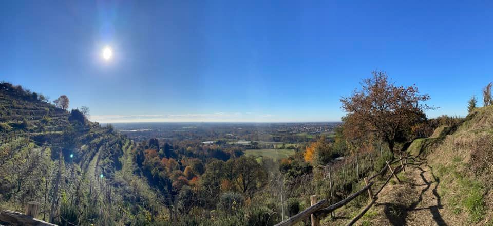 Saliinvetta's tweet photo. Montevecchia 💚 nel cuore del Parco del Curone
Buongiorno a tutti 😍

👉 https://t.co/Xv03xAuPNT

#brianza #montevecchia https://t.co/g819QMwEyo